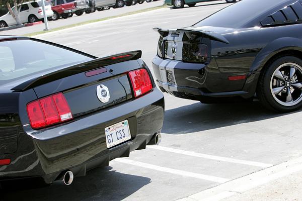 Ponies on The Run!-4.jpg