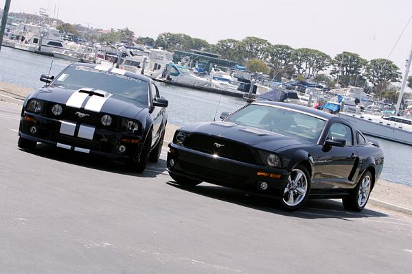 Ponies on The Run!-5.jpg