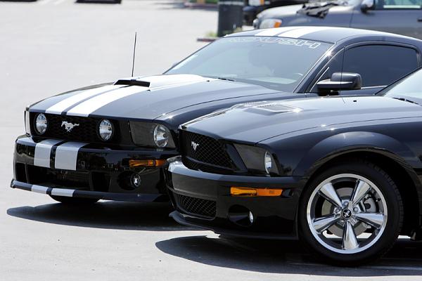 Ponies on The Run!-6.jpg