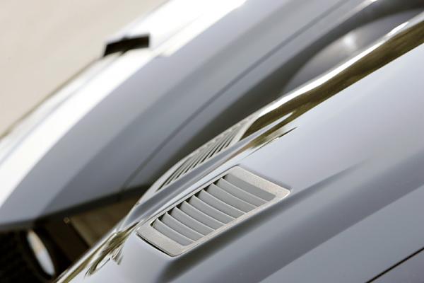 Ponies on The Run!-7.jpg