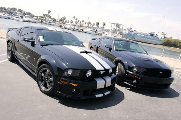 Ponies on The Run!-8.jpg