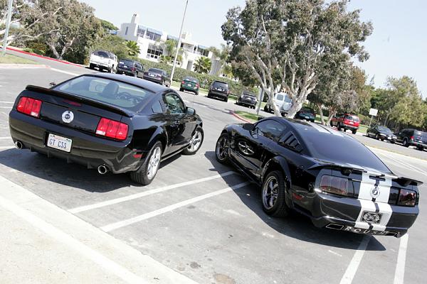 Ponies on The Run!-9.jpg