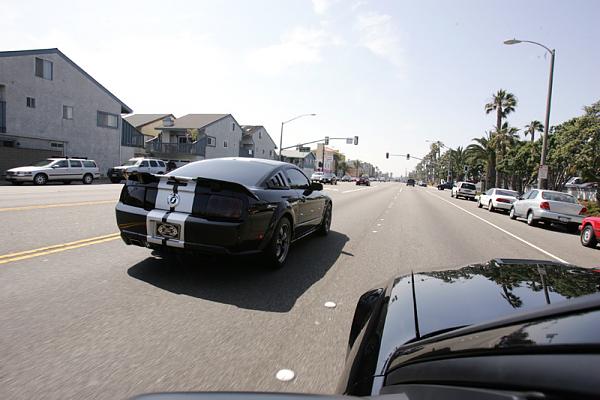 Ponies on The Run!-10.jpg