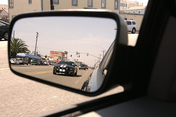 Ponies on The Run!-11.jpg