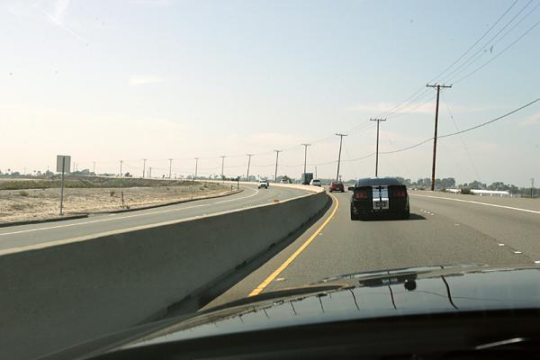 Ponies on The Run!-12.jpg