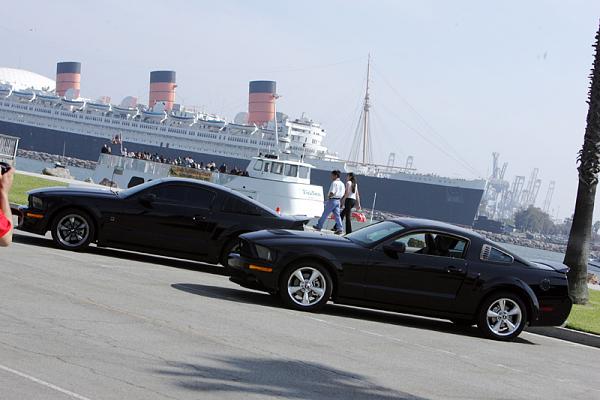 Ponies on The Run!-13.jpg