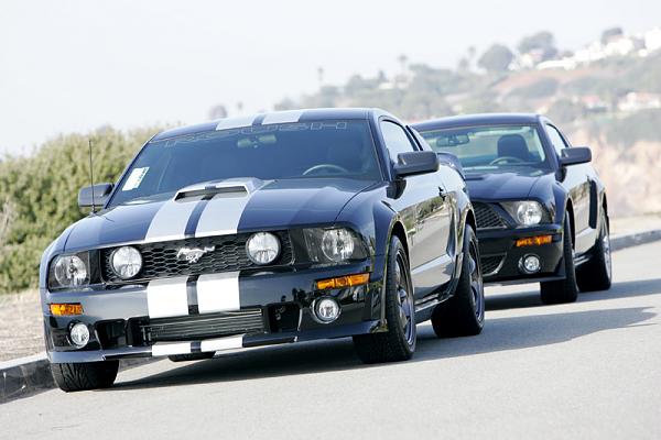 Ponies on The Run!-15.jpg