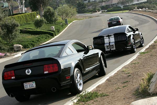 Ponies on The Run!-16.jpg