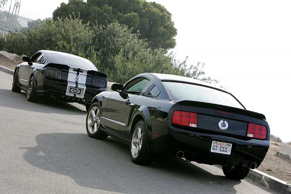 Ponies on The Run!-17.jpg