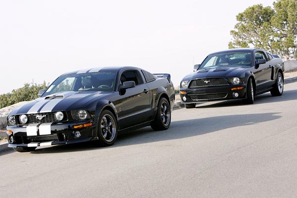 Ponies on The Run!-18.jpg