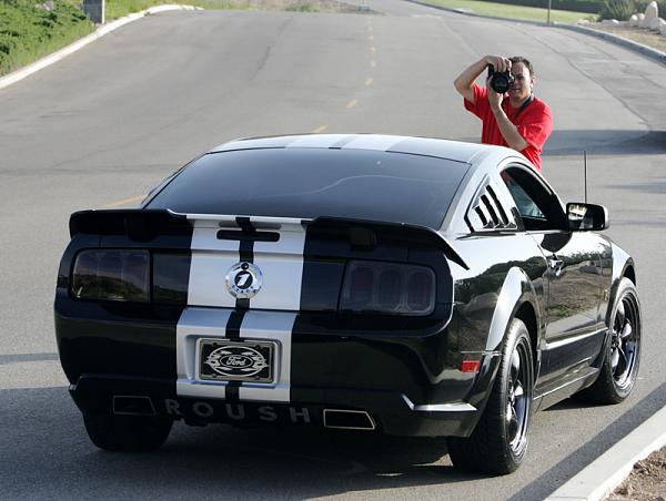 Ponies on The Run!-20.jpg