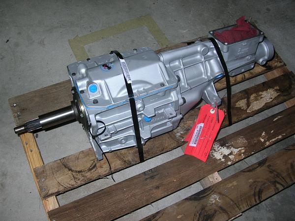 Ponies on The Run!-dscn5658.jpg