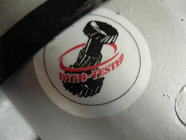 Ponies on The Run!-dscn5660.jpg