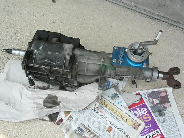 Ponies on The Run!-dscn5621.jpg