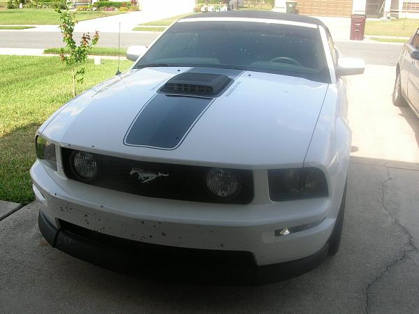 Ponies on The Run!-dscn5702.jpg