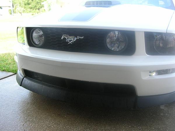 Ponies on The Run!-dscn5706.jpg