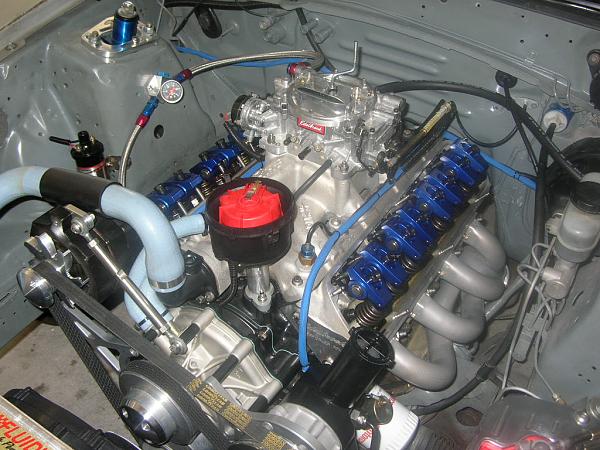 Ponies on The Run!-dscn5717.jpg