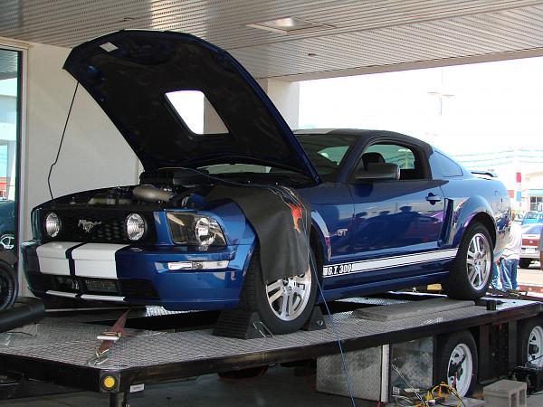 Ponies on The Run!-dyno-web1.jpg