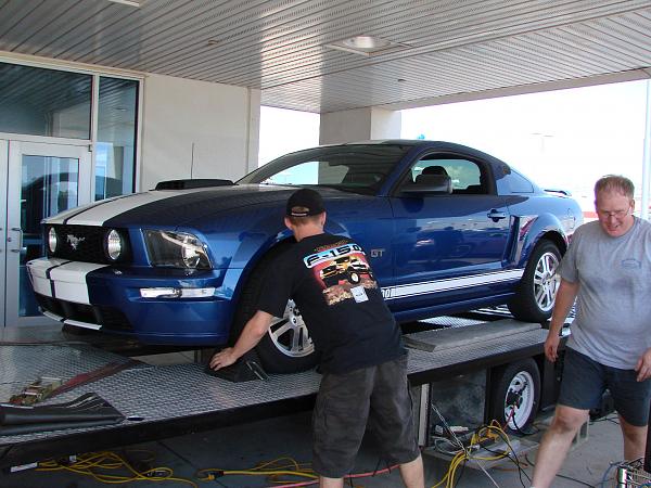 Ponies on The Run!-dyno-web2.jpg