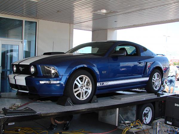 Ponies on The Run!-dyno-web3.jpg