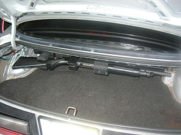 Ponies on The Run!-dscn5727.jpg