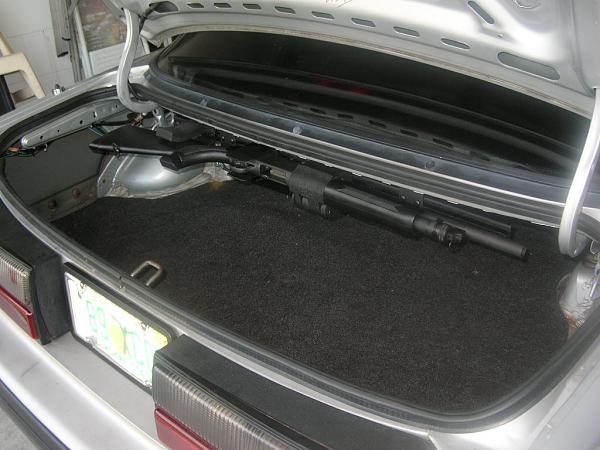 Ponies on The Run!-dscn5731.jpg