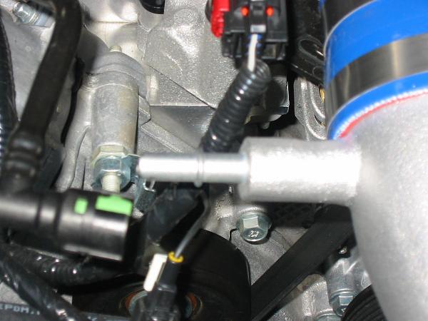 Ponies on The Run!-img_0053.jpg