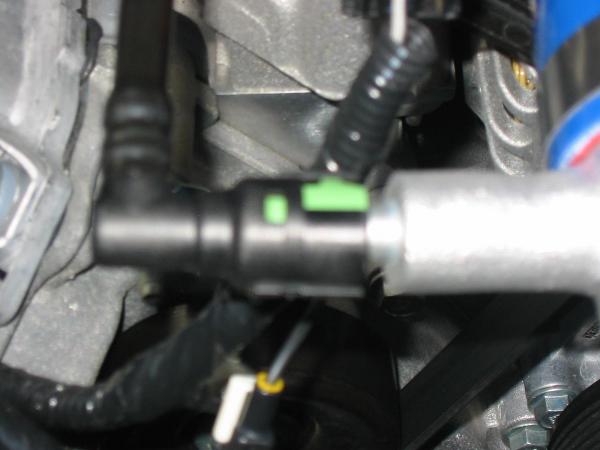 Ponies on The Run!-img_0054.jpg