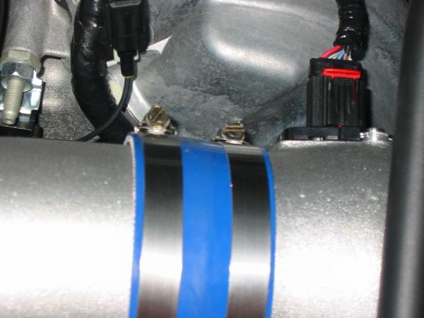 Ponies on The Run!-img_0055.jpg