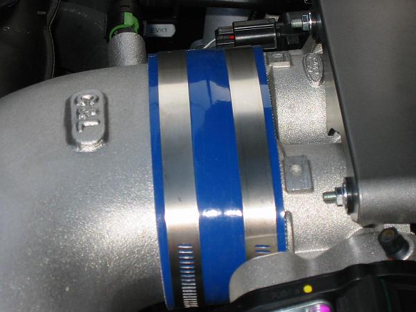 Ponies on The Run!-img_0056.jpg