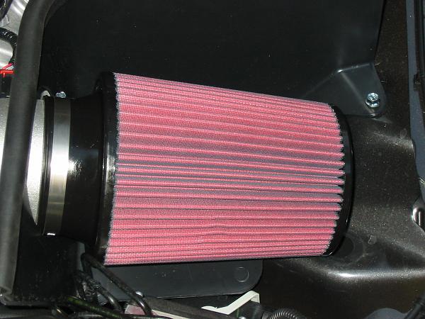 Ponies on The Run!-img_0058.jpg