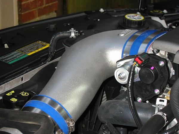 Ponies on The Run!-img_0059.jpg