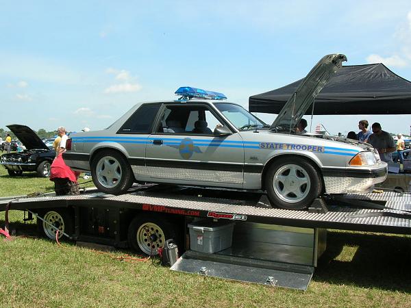 Ponies on The Run!-dscn5481.jpg