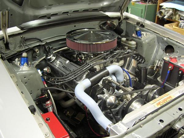 Ponies on The Run!-dscn5555.jpg