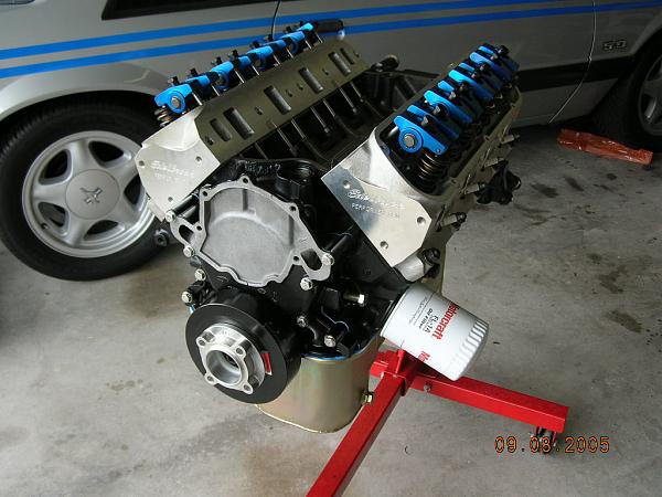 Ponies on The Run!-dscn1095.jpg