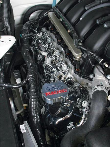 Ponies on The Run!-frpp-chrome-clamcovers.jpg