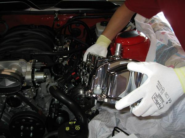 Ponies on The Run!-img_4543r.jpg