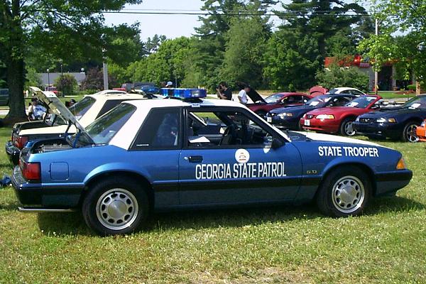 Ponies on The Run!-georgia.jpg