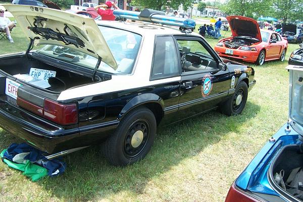 Ponies on The Run!-2007fathersdaymustangshow021.jpg