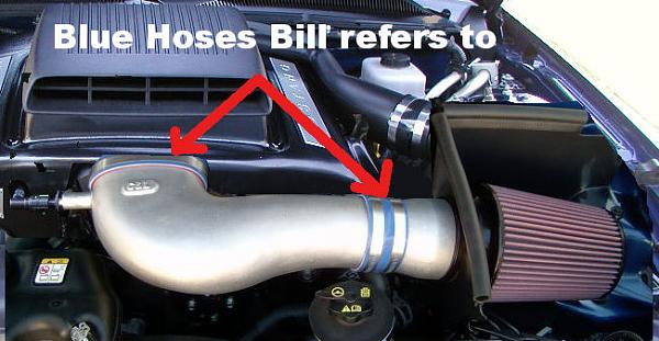 Ponies on The Run!-cai-hoses.jpg