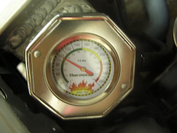 Ponies on The Run!-dscn5764.jpg