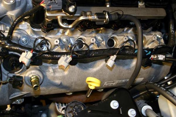 Ponies on The Run!-img_9925.jpg