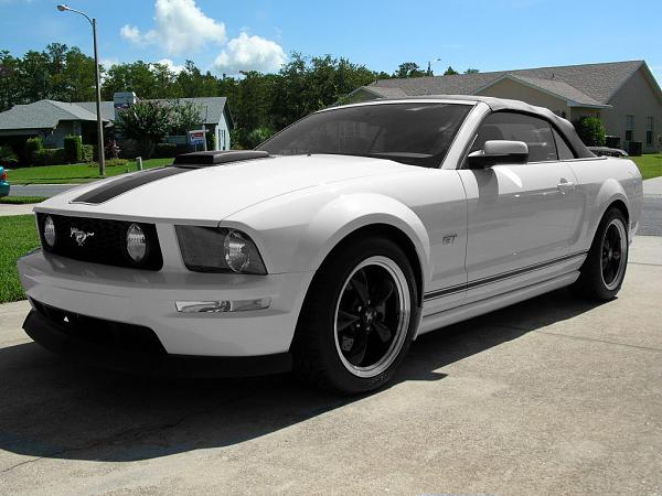 Ponies on The Run!-tom-bw-colorback.jpg