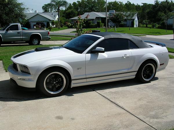 Ponies on The Run!-dscn6002.jpg