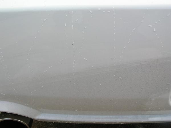 Ponies on The Run!-dscn6004.jpg