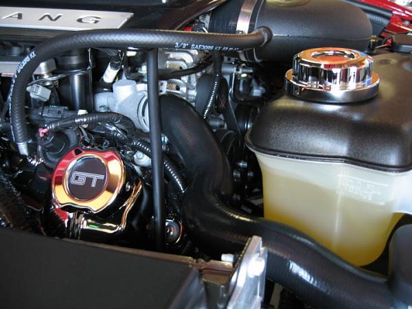 Ponies on The Run!-img_5803.jpg