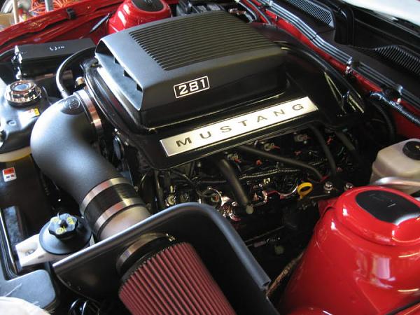 Ponies on The Run!-img_5804.jpg