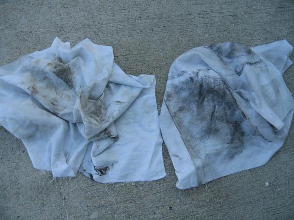 Ponies on The Run!-img_5805.jpg