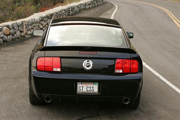 Ponies on The Run!-attachment-1.jpg