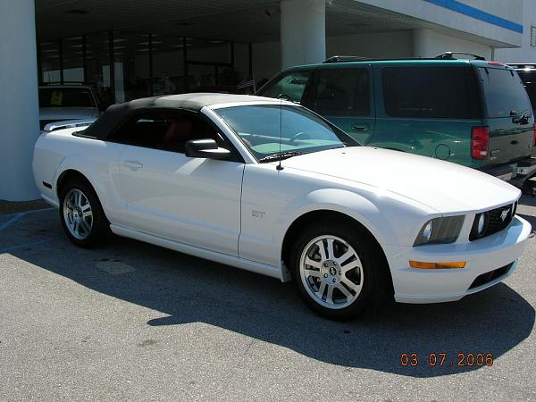 Ponies on The Run!-dscn2366.jpg